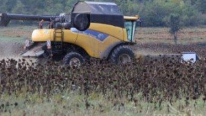 Жътвата на царевица и слънчоглед приключва с ниски добиви - Agri.bg