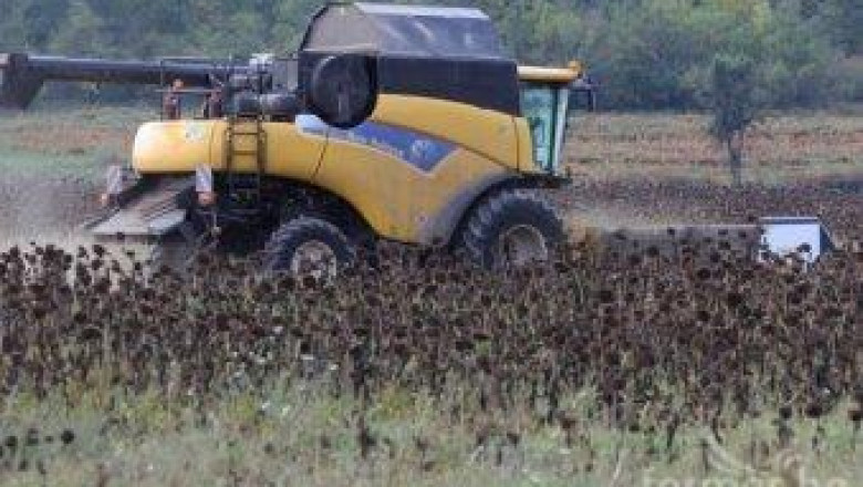 Жътвата на царевица и слънчоглед приключва с ниски добиви