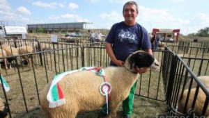 Фермери споделиха проблеми и опит на изложение за рядка порода овце в Елин Пелин ( видео ) - Agri.bg