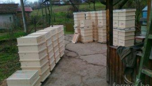 Пчелари в Шуменско се обявиха против скандална общинска заповед - Agri.bg