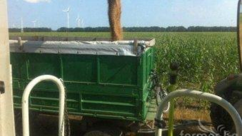 Кипър забрани заразена фуражна царевица от България