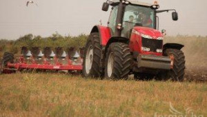 НАЗ апелира за отпускане на целеви кредити за производство на пшеница - Agri.bg