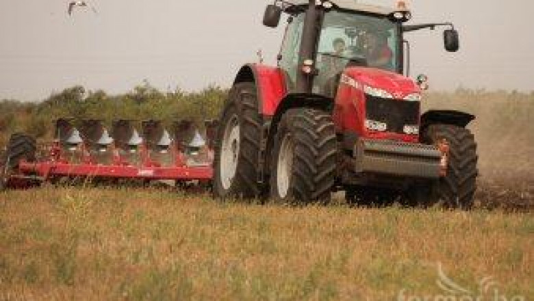 НАЗ апелира за отпускане на целеви кредити за производство на пшеница