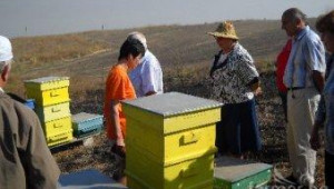 Петя Иванова: Пчеларството е в криза, лобираме за адекватна ОСП за сектора - Agri.bg