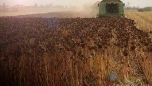 В Добруджа очакват повшение на земеделските ренти с около 20% - Agri.bg