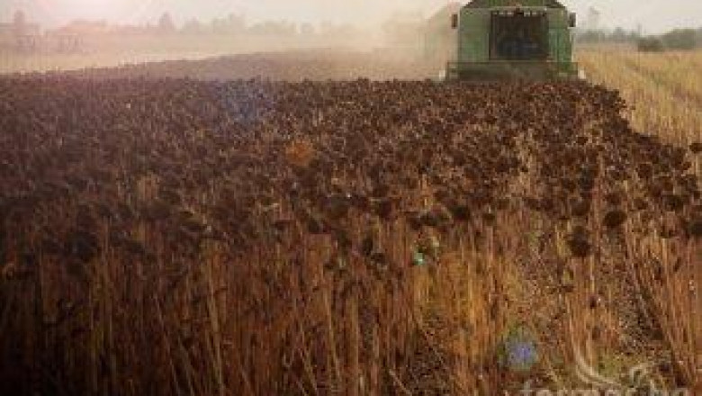 В Добруджа очакват повшение на земеделските ренти с около 20%