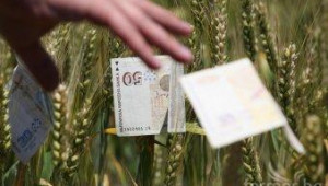 Забраната на ССА за продажба на семена на институтите - заради съмнения в злоупотреби - Agri.bg
