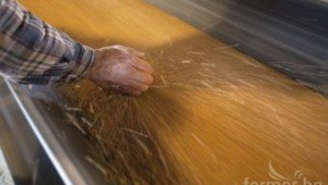 НАП извършват масови инвентаризации на количества зърно в Добруджа - Agri.bg