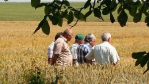 Злати Златев: Не проверяваме зърнения сектор с умисъл - Agri.bg