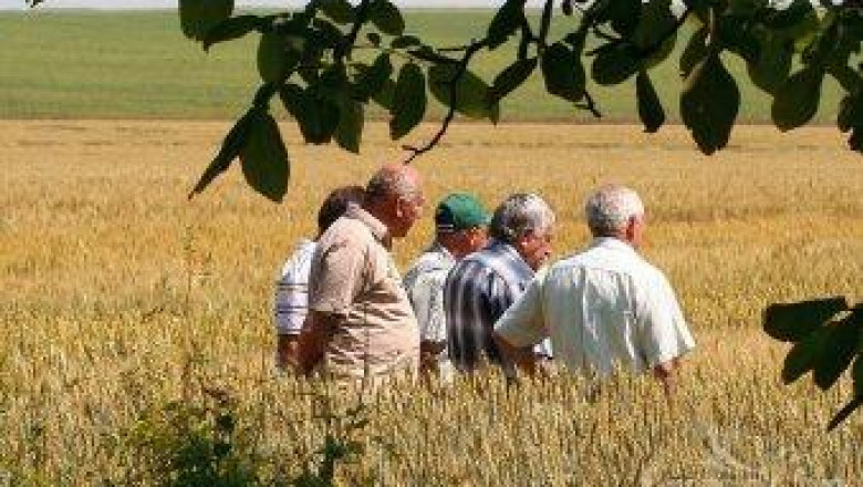 Злати Златев: Не проверяваме зърнения сектор с умисъл