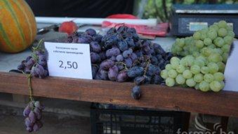 Десертното грозде стартира при 2,50 лв./кг цена на дребно