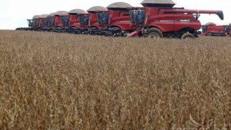 Производството на мека пшеница в ЕС тази година ще е по-слабо спрямо 2011