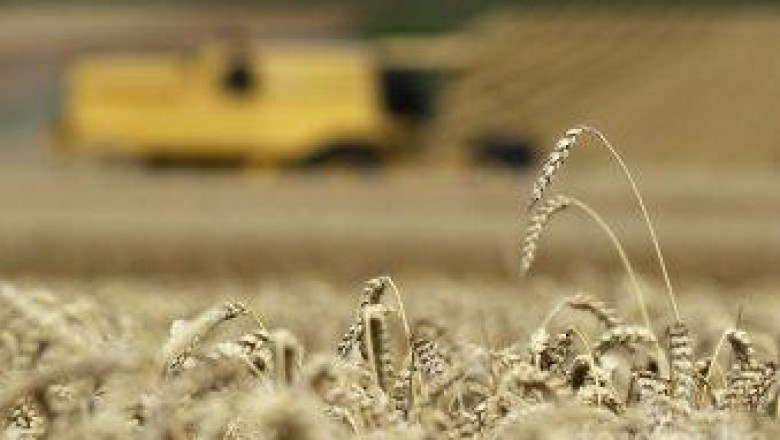 Селското стопанство отново бележи растеж в икономиката ни