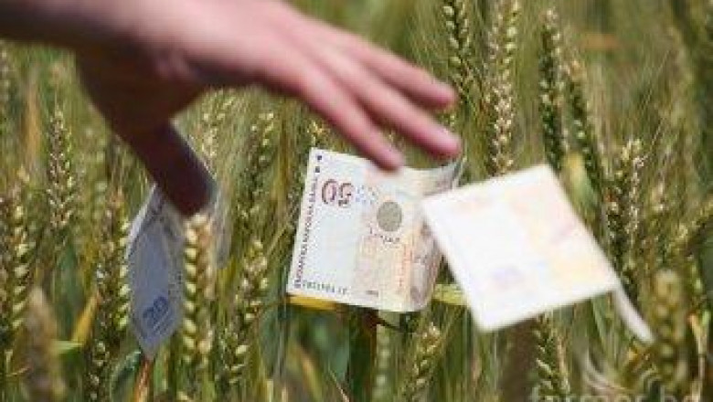 МЗХ представи анализ на пазара на пшеница, брашно и хляб
