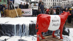 Фермери изляха мляко на протест пред Европейския парламент в Брюксел - Agri.bg