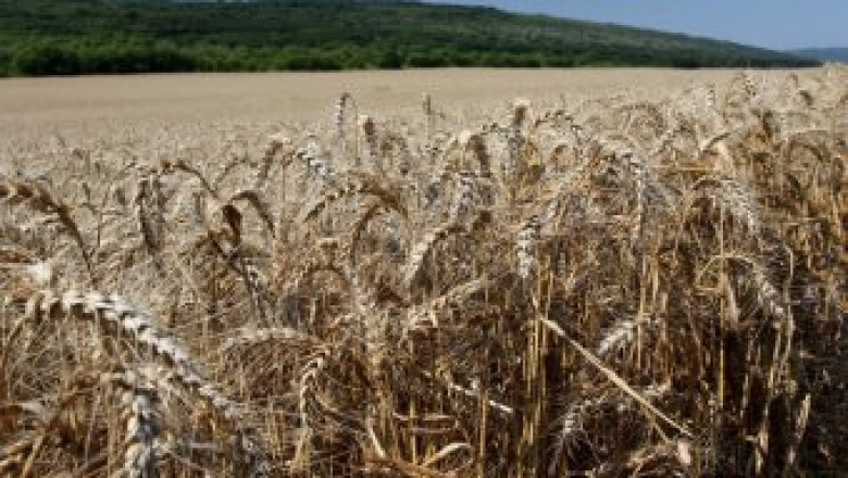 Ангел Вукодинов: Надявам се доброто качество на пшеницата да доведе до  по-високи цени