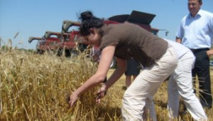 Светлана Боянова: Очакваме реколтата от жито да е над 4 млн.тона - Agri.bg