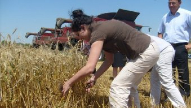 Светлана Боянова: Очакваме реколтата от жито да е над 4 млн.тона