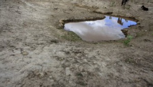 Източения язовир Иваново донесе суша и остави без реколта селата в региона - Agri.bg
