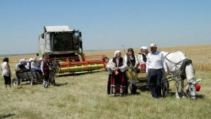 Средният добив ечемик от реколта 2012 досега е 372 кг./дка. - Agri.bg