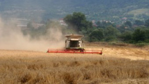 Зърнопроизводители ще дискутират със Симеон Дянков въпроса за ДДС при зърното - Agri.bg