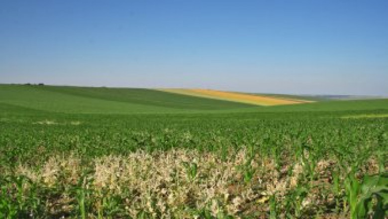 Община Родопи ще връща 4600 дка. земеделски земи