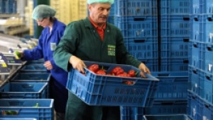 ЕК публикува доклад за земеделските производители и конкуренцията на пазарите - Agri.bg