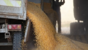 Промените в облагането на зърното с ДДС няма да влязат в сила за активния сезон - Agri.bg