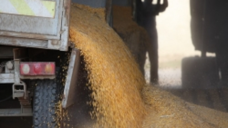 Промените в облагането на зърното с ДДС няма да влязат в сила за активния сезон