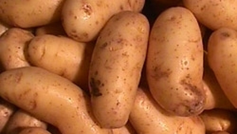 МЗХ: Проблемът с реализацията на картофите е частично предопределен