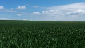 Софтуер за управление на споразуменията за ползване на земя излезе на пазара - Agri.bg