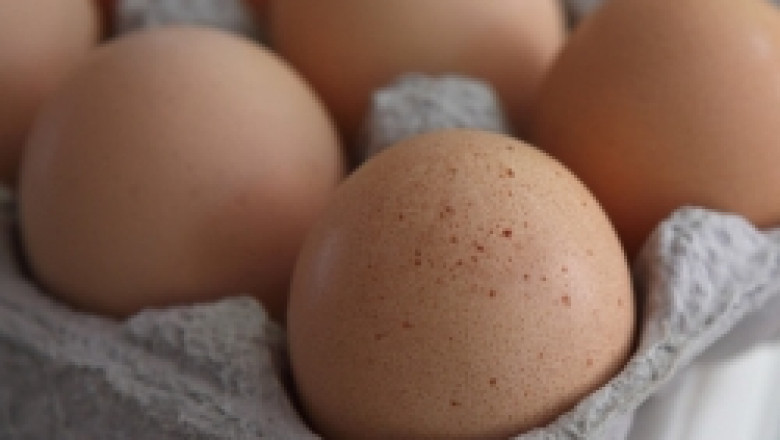 Яйца и птици - Зора - село Дончево няма да вдигат цените на яйцата за Великден