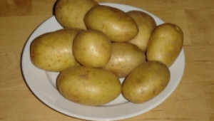Цената на картофите в България се срина до 0,23 -0,30 лв./кг. ( ОБНОВЕНА ) - Agri.bg