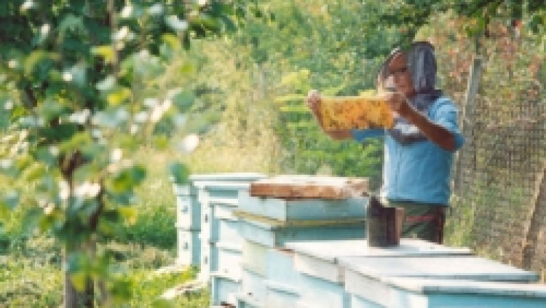 Форум за опазване здравето на пчелите ще се проведе утре в Кърджали