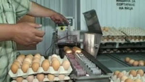 Мирослав Найденов се срещна и с търговци по въпроса за цената на яйцата - Agri.bg