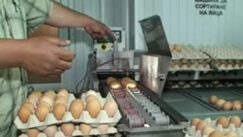 Мирослав Найденов се срещна и с търговци по въпроса за цената на яйцата