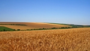 Оуен Джоунс (DG Agri): България е достигнала 90% от средните нива на директните плащания в ЕС - Agri.bg