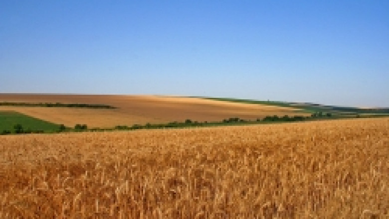 ДФЗ преведе на земеделците още 40 млн. лева по СЕПП за 2011-а година