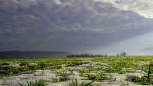 Суша, студ и наводнения доведоха до риск за зърнената реколта през 2012 - Agri.bg