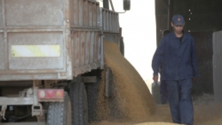 2 344 регистрирани търговци на зърно отчете Националната служба по зърното (НСЗ)