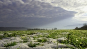 Снежната покривка е масово под критичния минимум за нормално развитие на посевите - Agri.bg