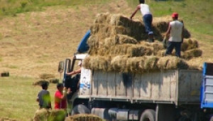 Земеделските производители успяха да получат по-високи субсидии в трудните райони - Agri.bg
