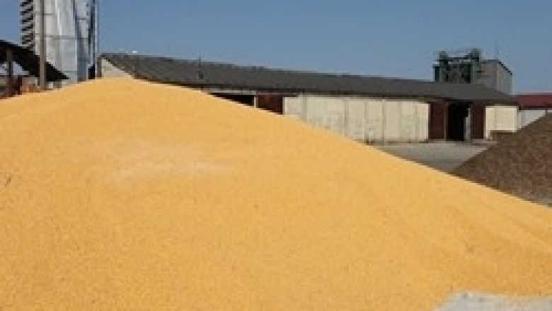 НАП започва проверки на търговците на зърно от началото на Декември