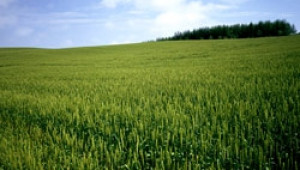 АЗПБ се обяви категорично против орязването на бюджета за земеделие - Agri.bg