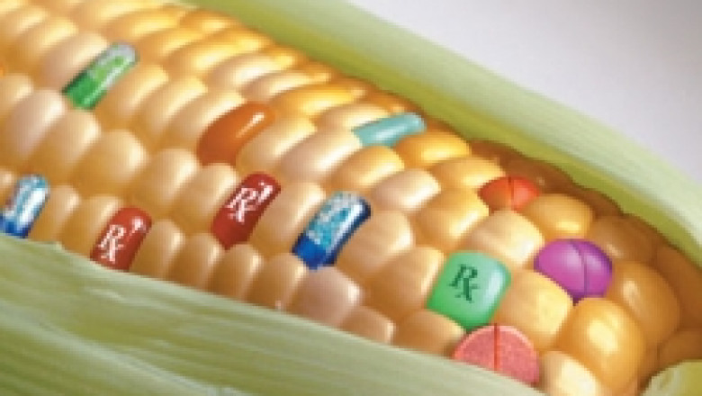 Европейската комисия отново увърта темата с отглеждането на ГМО