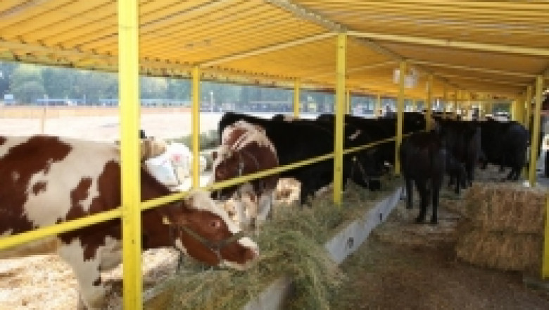 Изложение по животновъдство - Сливен 2011 ( снимки )