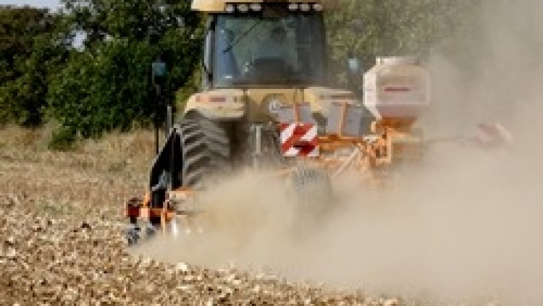 Сушата в Северна България може да се окаже фатална за сеитбата на рапица