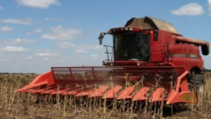 От 120 до 320 кг./дка е реколтата от слънчоглед тази година - Agri.bg