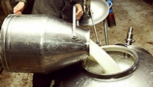Купвачите на млечни квоти могат да подават заявления от днес до края на Август - Agri.bg
