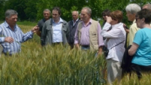 Предложиха създаването на инвестиционен съвет в земеделието - Agri.bg